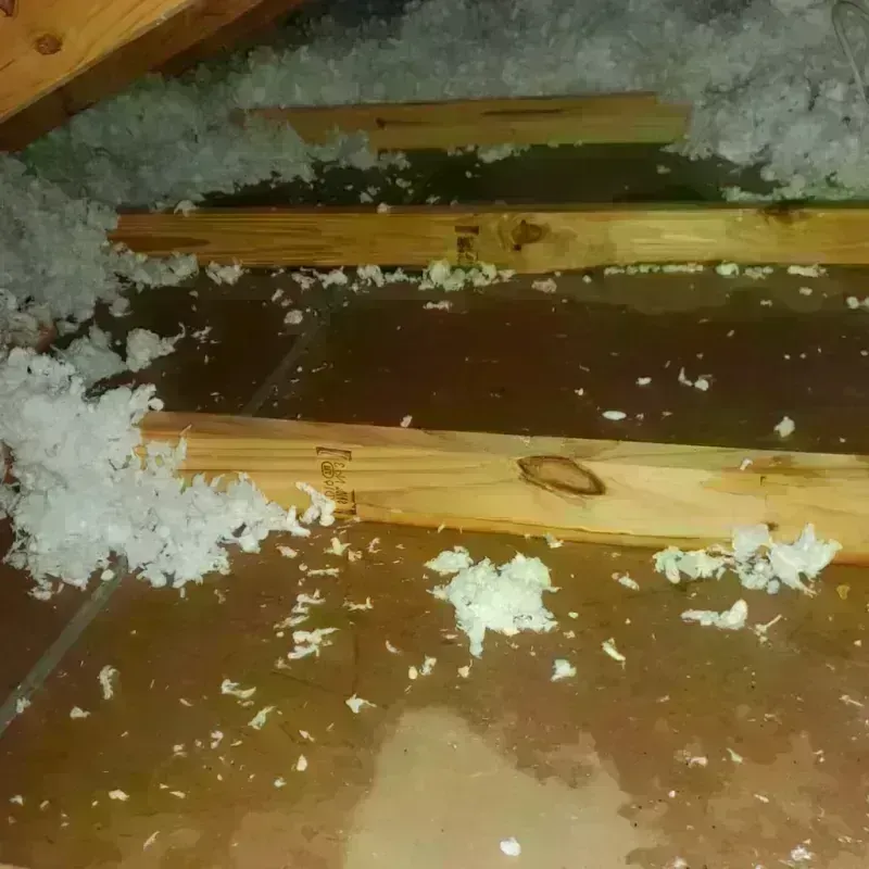 Attic Water Damage in Taylor County, KY